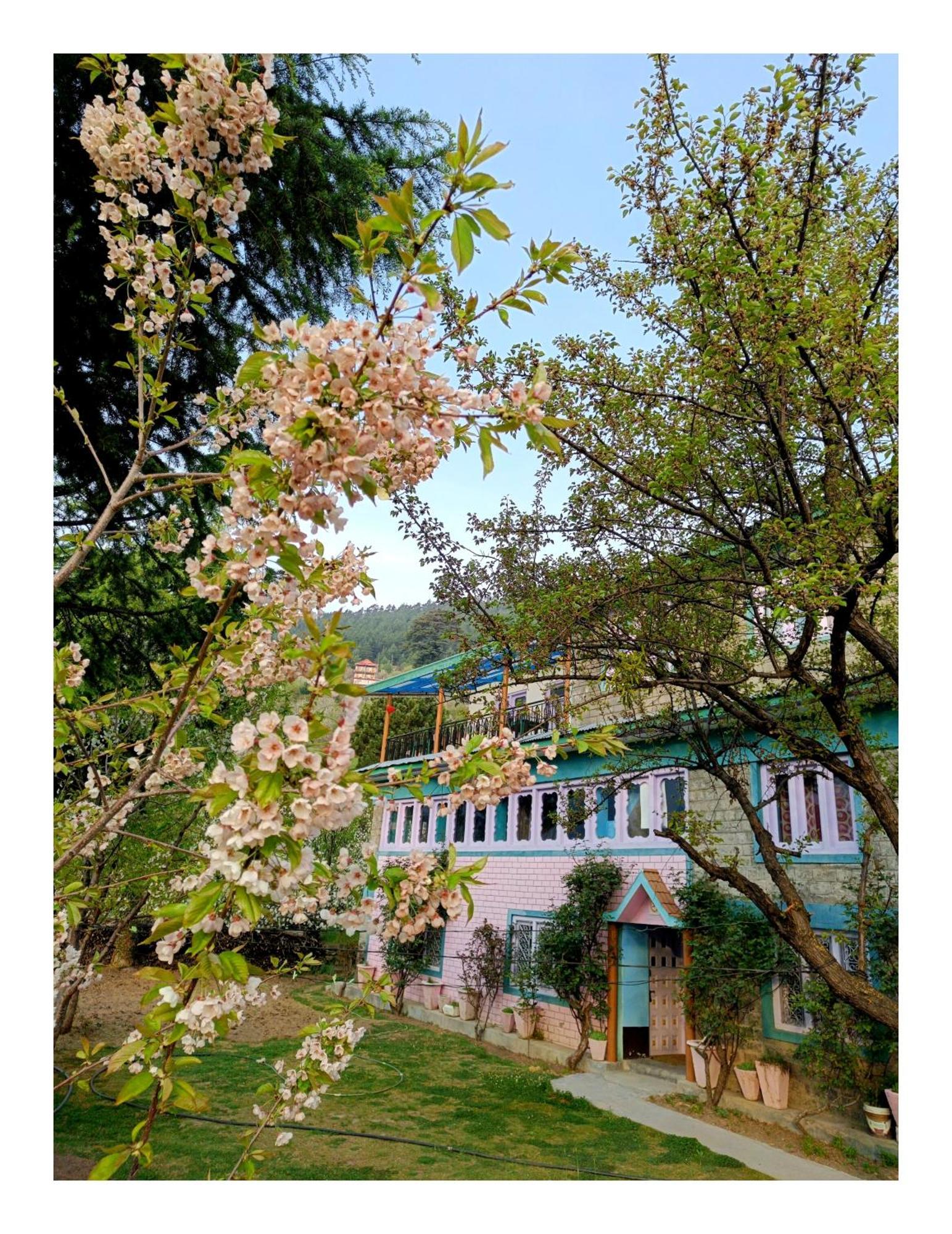 Farmvilla Homestay Kalpa Luaran gambar